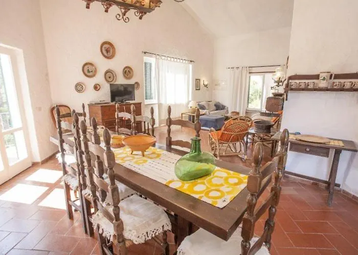 Sibilla - Goelba 普罗基奥